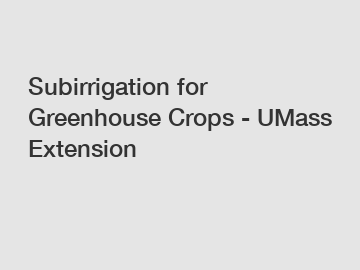 Subirrigation for Greenhouse Crops - UMass Extension