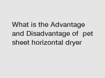 What is the Advantage and Disadvantage of  pet sheet horizontal dryer