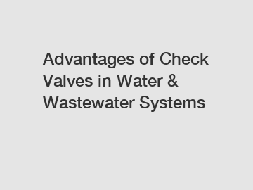 Advantages of Check Valves in Water & Wastewater Systems