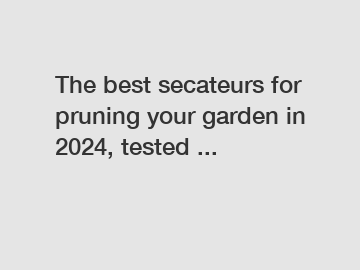 The best secateurs for pruning your garden in 2024, tested ...