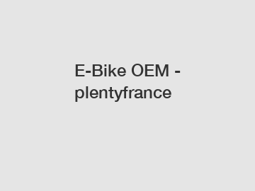 E-Bike OEM - plentyfrance