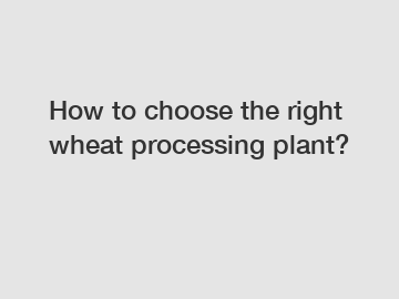 How to choose the right wheat processing plant?