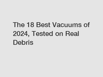 The 18 Best Vacuums of 2024, Tested on Real Debris