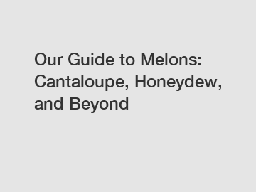 Our Guide to Melons: Cantaloupe, Honeydew, and Beyond