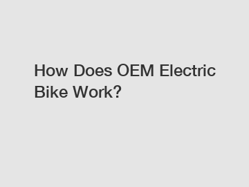 How Does OEM Electric Bike Work?