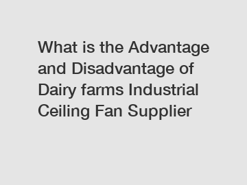 What is the Advantage and Disadvantage of  Dairy farms Industrial Ceiling Fan Supplier