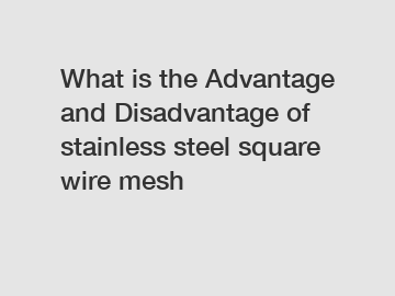 What is the Advantage and Disadvantage of  stainless steel square wire mesh