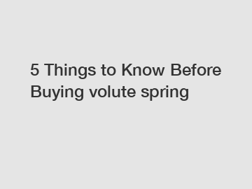 5 Things to Know Before Buying volute spring