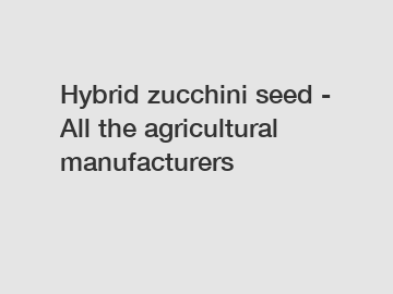 Hybrid zucchini seed - All the agricultural manufacturers