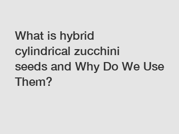 What is hybrid cylindrical zucchini seeds and Why Do We Use Them?