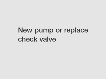 New pump or replace check valve