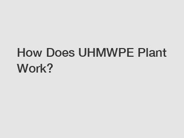 How Does UHMWPE Plant Work?