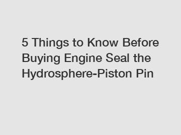 5 Things to Know Before Buying Engine Seal the Hydrosphere-Piston Pin