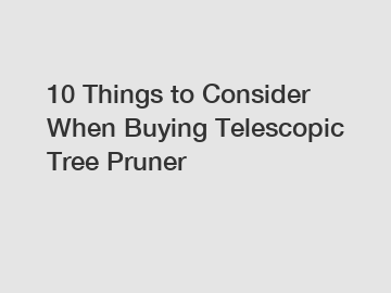 10 Things to Consider When Buying Telescopic Tree Pruner