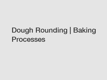 Dough Rounding | Baking Processes