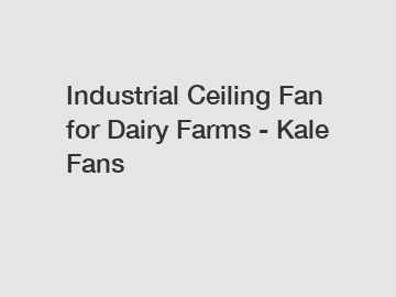 Industrial Ceiling Fan for Dairy Farms - Kale Fans