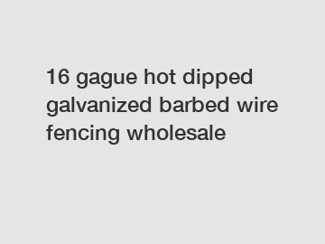 16 gague hot dipped galvanized barbed wire fencing wholesale