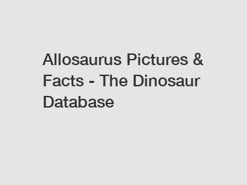 Allosaurus Pictures & Facts - The Dinosaur Database