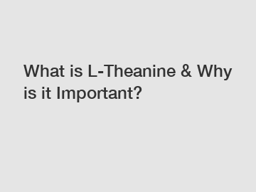 What is L-Theanine & Why is it Important?