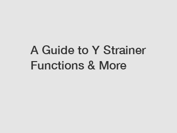 A Guide to Y Strainer Functions & More