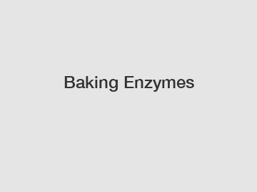 Baking Enzymes