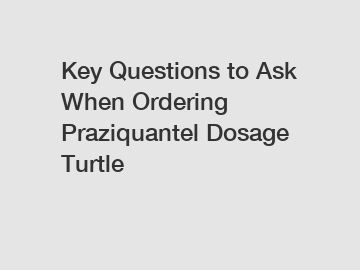 Key Questions to Ask When Ordering Praziquantel Dosage Turtle