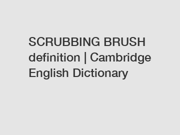 SCRUBBING BRUSH definition | Cambridge English Dictionary
