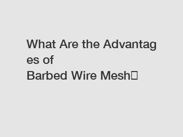 What Are the Advantages of Barbed Wire Mesh？