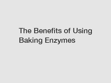 The Benefits of Using Baking Enzymes