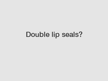 Double lip seals?