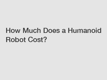 How Much Does a Humanoid Robot Cost?