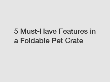 5 Must-Have Features in a Foldable Pet Crate