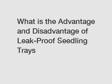 What is the Advantage and Disadvantage of  Leak-Proof Seedling Trays