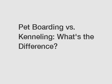 Pet Boarding vs. Kenneling: What's the Difference?