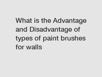 What is the Advantage and Disadvantage of  types of paint brushes for walls