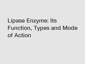 Lipase Enzyme: Its Function, Types and Mode of Action