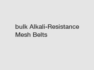 bulk Alkali-Resistance Mesh Belts