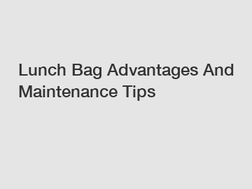 Lunch Bag Advantages And Maintenance Tips