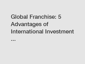 Global Franchise: 5 Advantages of International Investment ...