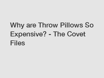 Why are Throw Pillows So Expensive? - The Covet Files