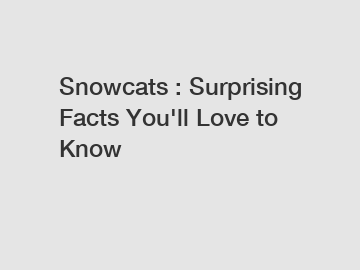 Snowcats : Surprising Facts You'll Love to Know