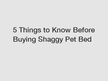 5 Things to Know Before Buying Shaggy Pet Bed