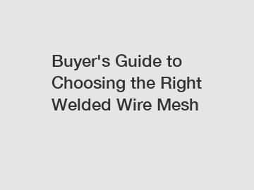 Buyer's Guide to Choosing the Right Welded Wire Mesh