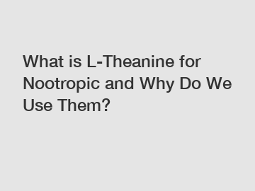 What is L-Theanine for Nootropic and Why Do We Use Them?