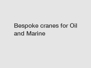 Bespoke cranes for Oil and Marine