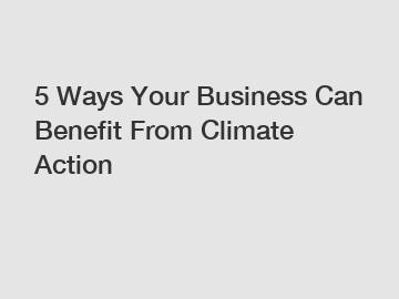 5 Ways Your Business Can Benefit From Climate Action