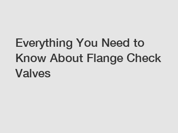 Everything You Need to Know About Flange Check Valves
