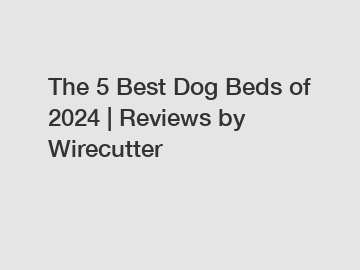 The 5 Best Dog Beds of 2024 | Reviews by Wirecutter