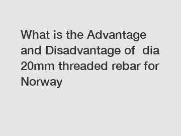 What is the Advantage and Disadvantage of  dia 20mm threaded rebar for Norway