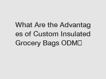 What Are the Advantages of Custom Insulated Grocery Bags ODM？